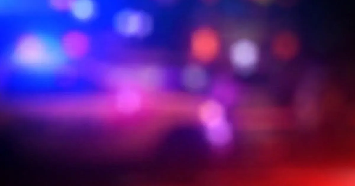 Illinois Mother Corie Walsh Charged With First-Degree Murder in Death of 2-Year-Old Son in Frankfort, Prosecutors Say